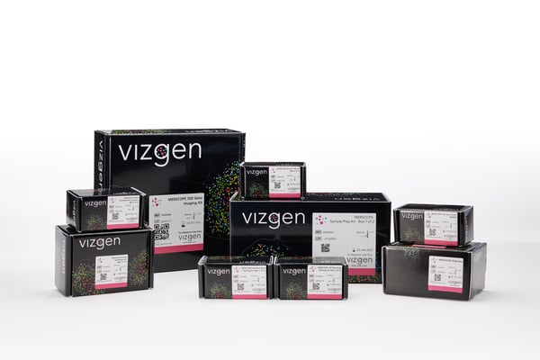 Vizgen MERSCOPE Protein Co Detection
